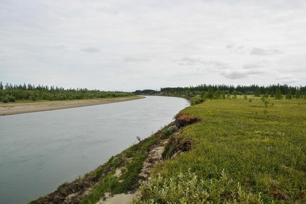 Fiume sulla penisola di Yamal