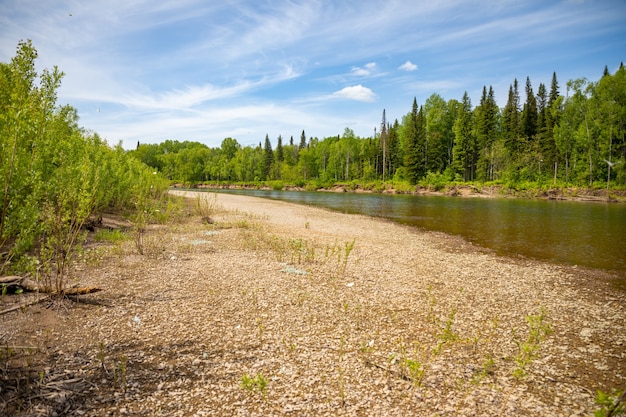 Fiume taidon che scorre attraverso le foreste della taiga sud siberia russia