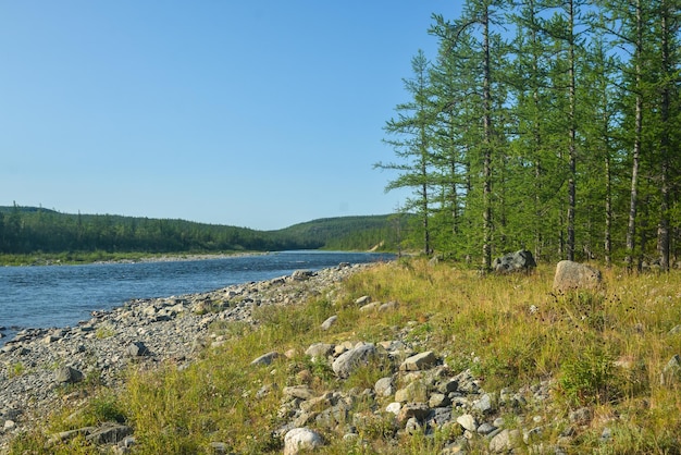 Fiume Taiga in estate negli Urali polari