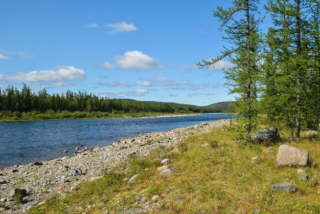 fiume taiga settentrionale