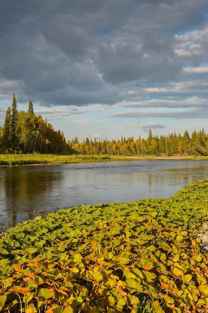 fiume Taiga