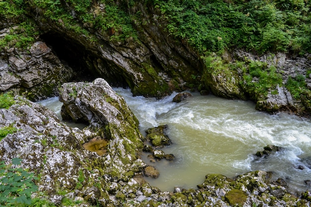 Fiume tempestoso della montagna e riva rocciosa. Forest Valley.