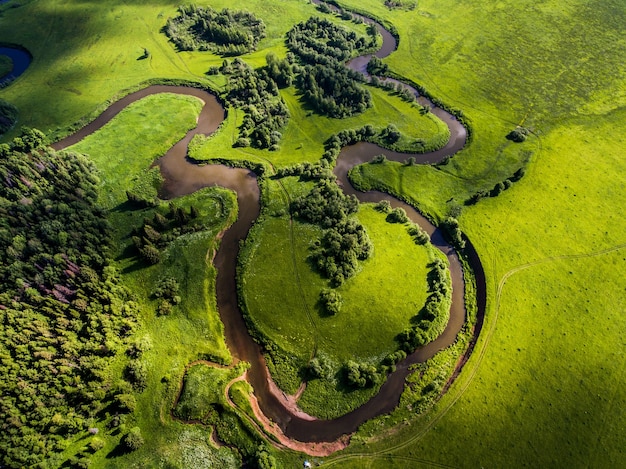 Fiume tra la foresta verde ripresa da un drone in estate