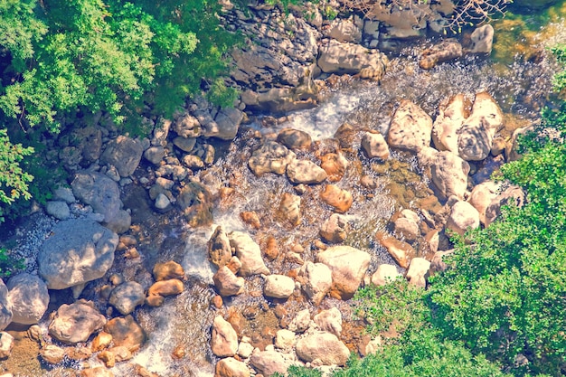 Fiume tra rocce e alberi verdiTonica