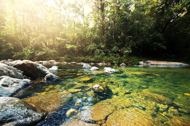 Fiume tropicale