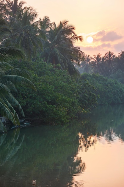 Fiume tropicale