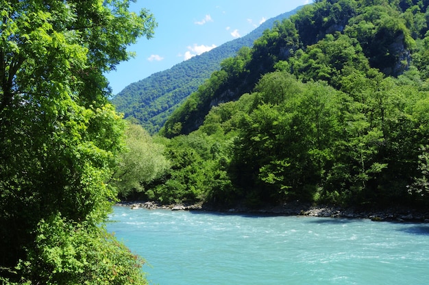 Fiume veloce e montagne con alberi verdi in Abkhazia in una giornata di sole