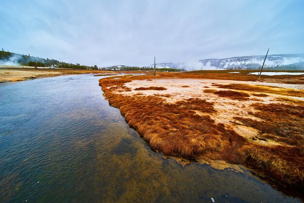 Fiumi di Yellowstone in una mattinata nebbiosa con vapore di zolfo ed erbe rosse