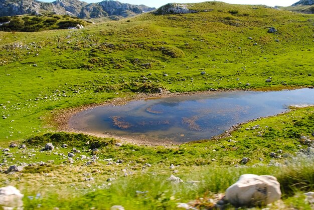 Fiumi e laghi panoramici in Montenegro