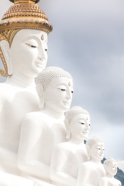 Five Buddha&#39;s