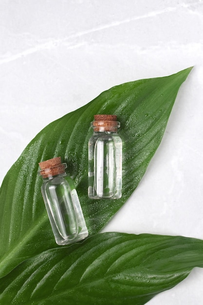 Flaconcino di vetro di olio essenziale aromatico con foglie verdi Siero viso in bottiglia SPA relax viso cura della pelle e trattamento del corpo Beauty Concept per la cura del viso del corpo