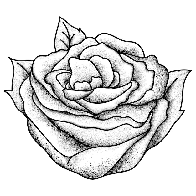 Flash tatuaggio della vecchia scuola rosa bianca e nera simbolo png vintage