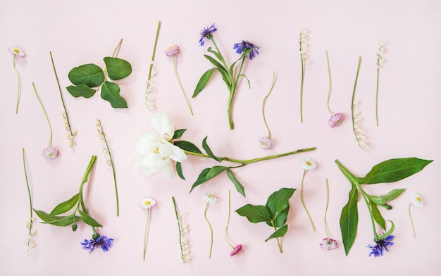 Flatlay di mughetto fiordaliso margherita e peonia fiori da giardino