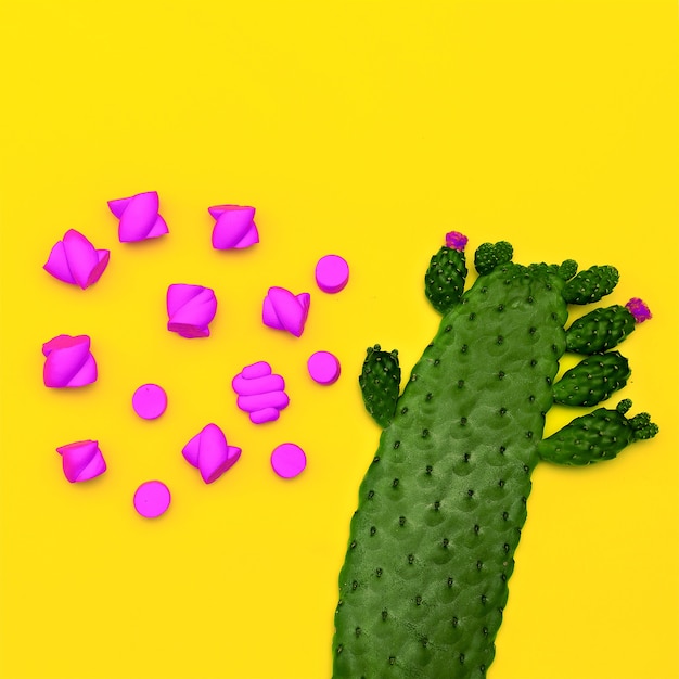 Flatlay dolce e cactus Arte minimale