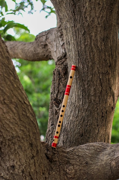 Flauto di bambù indiano sull'albero