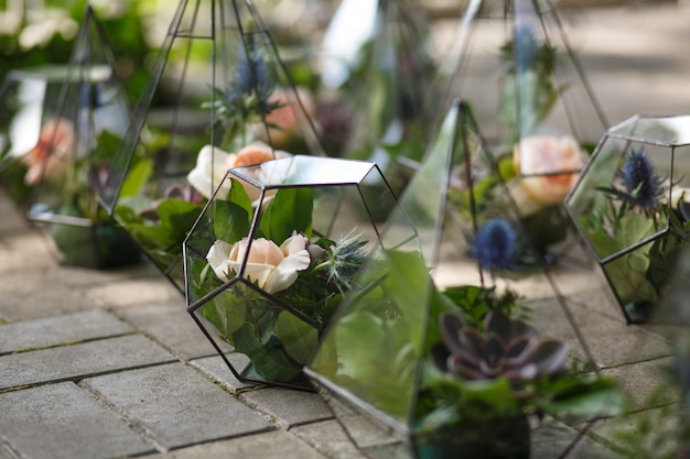 Florarium con succulenti freschi e fiori di rosa.