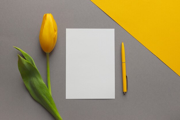 Floreale semplice mock up Penna fiore tulipano giallo e carta vuota vuota su sfondo geometrico giallo e grigio