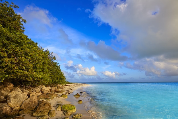 Florida Keys beach Bahia Honda Park Stati Uniti