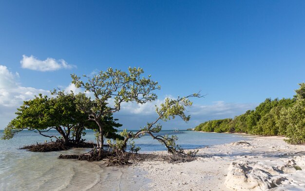 Florida Keys Spiaggia di Anne