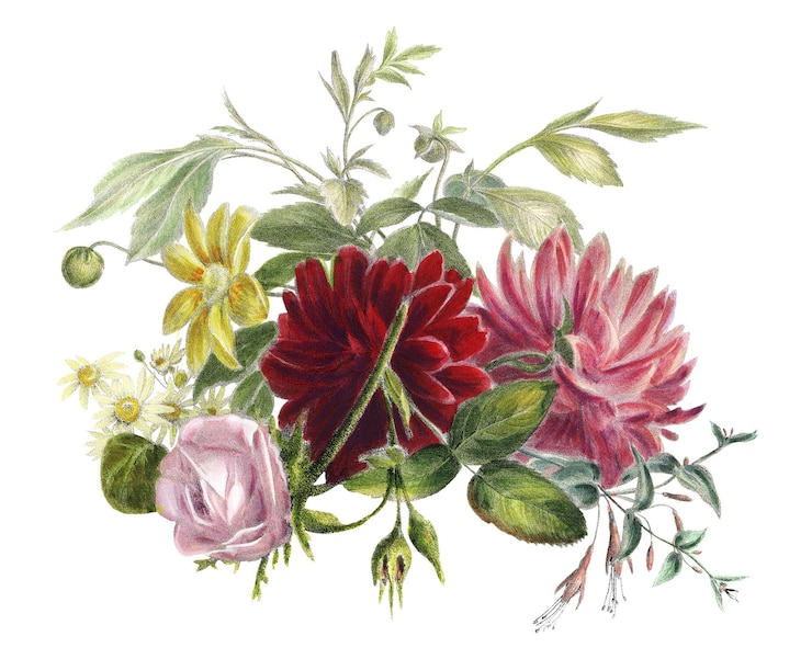 Foto flower png bunch illustrazione vintage su sfondo trasparente