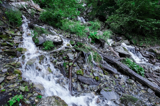 Flusso a cascata nella foresta di montagna, lunga esposizione