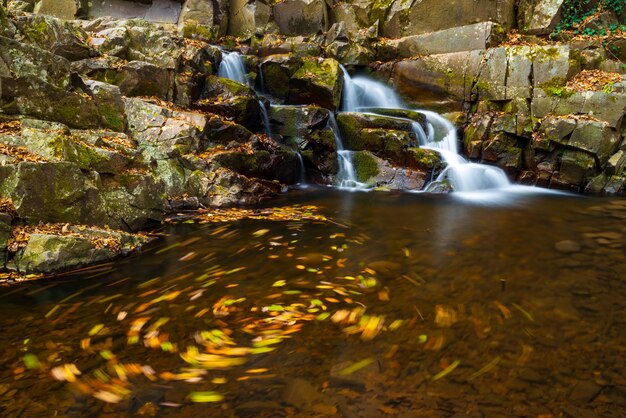 Flusso che scorre e cascata nella foresta autunnale