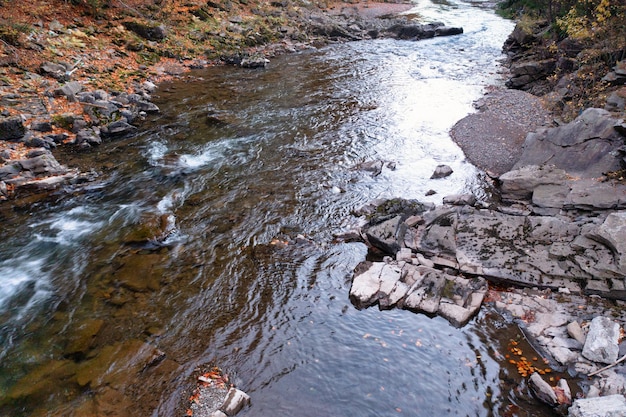 Flusso che scorre giù per le rocce di montagna attraverso la foresta autunnale