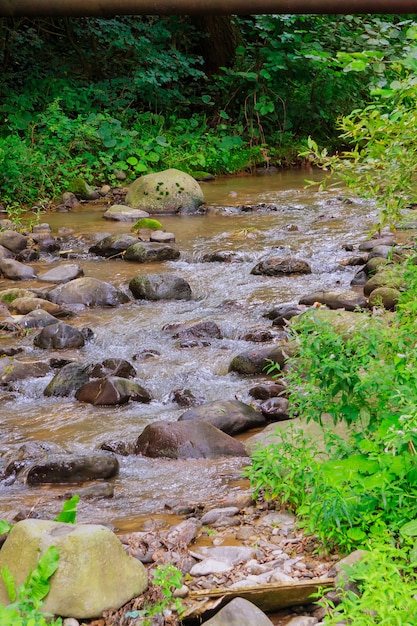 Flusso del fiume che scorre su formazioni rocciose sulle montagne.