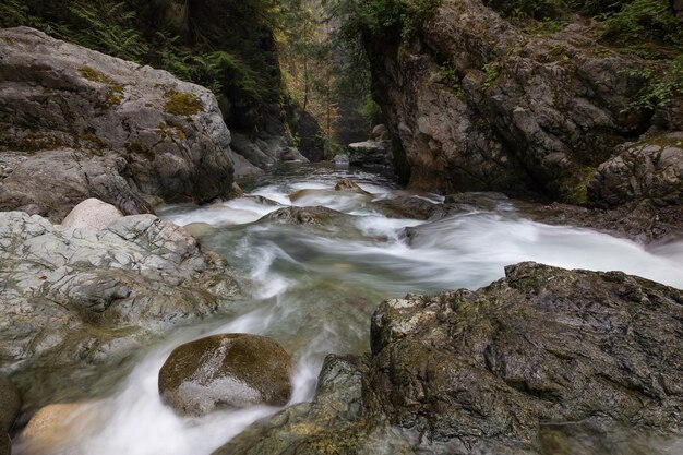 Flusso del fiume nel canyon naturale durante il periodo estivo Canadian Nature Background