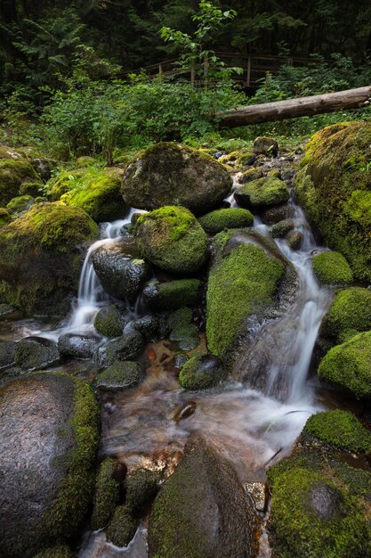 Flusso del fiume nel canyon naturale durante il periodo estivo Canadian Nature Background