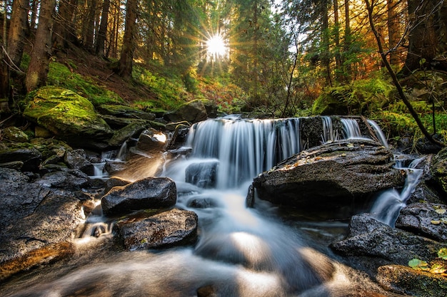 Flusso della foresta di montagna grandi pietre conifere