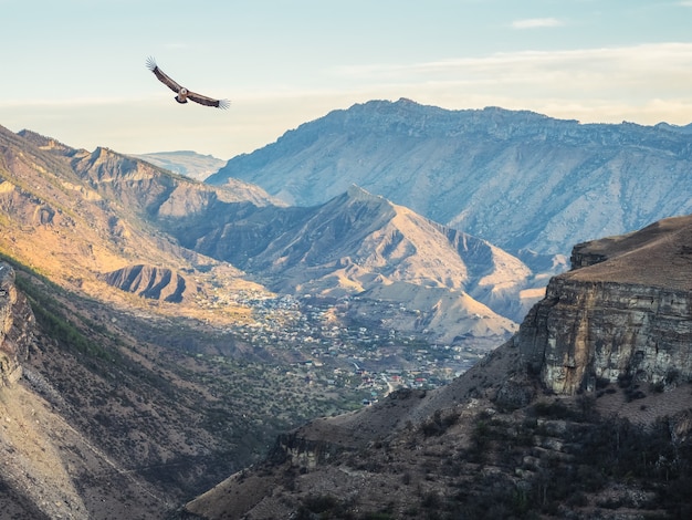 Focalizzazione morbida. Città in una profonda gola di montagna. Autentico villaggio di montagna del Daghestan.