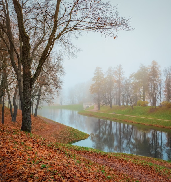 Focalizzazione morbida. Paesaggio autunnale nebbioso nella riserva del museo statale Gatchina. Vista nebbiosa di autunno del parco, dello stagno di Karpin e del vecchio ponte di pietra.