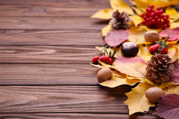 Fogli di autunno con le bacche su una priorità bassa marrone