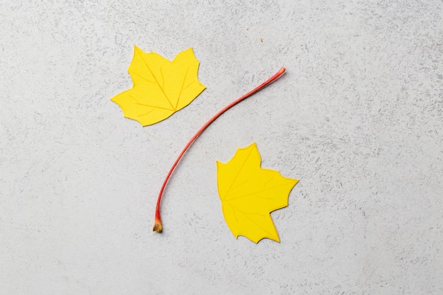 Fogli di autunno del mestiere di carta segno del concetto di vendita di autunno di sconto. Foto di alta qualità