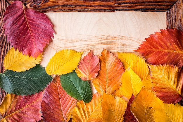 Fogli di autunno su una struttura di legno