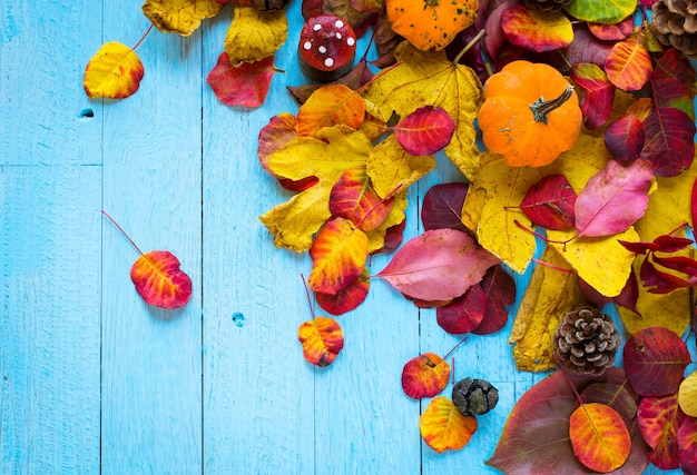 Fogli di autunno variopinti, sopra una priorità bassa di legno