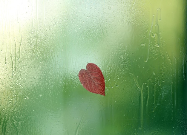 Foglia a forma di cuore su vetro bagnato