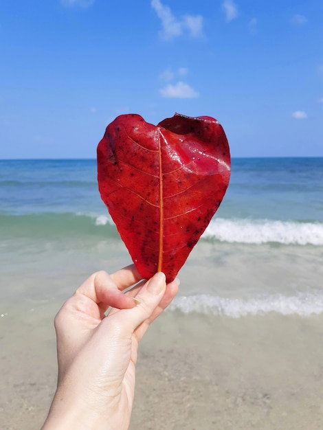 Foglia a forma di cuore sullo sfondo della spiaggia del mare amo la mia vacanza