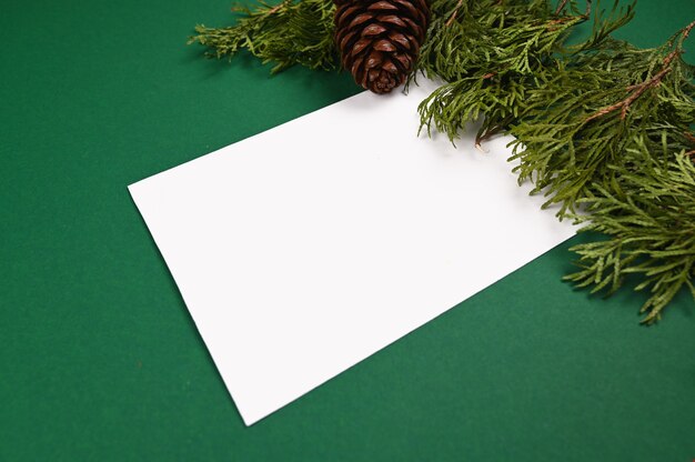 Foglia bianca su sfondo verde di Natale. Foto di alta qualità