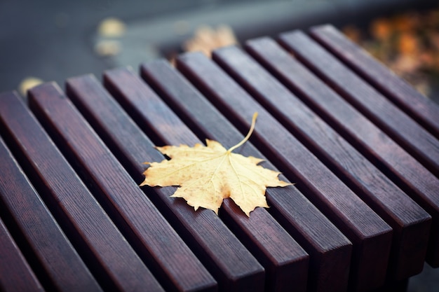 Foglia d'acero autunnale gialla sola su una panchina del parco rosso scuro, primo piano. Fondo di concetto di stagione autunnale