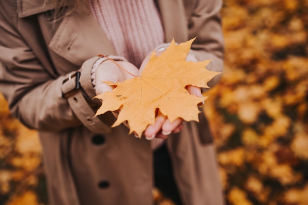 Foglia d'acero autunnale in mano nel parco