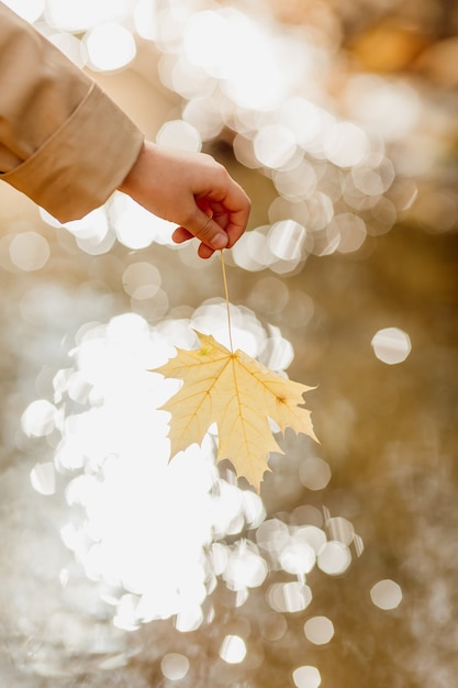 Foglia d'acero autunnale nella mano di un bambino sullo sfondo di un ruscello. Foto di alta qualità