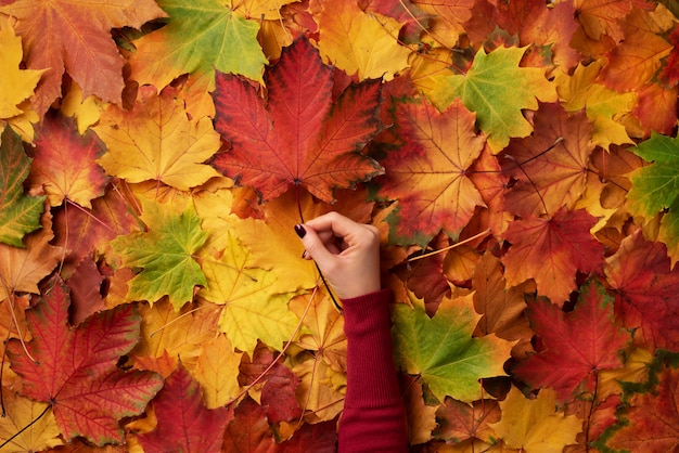 Foglia d&#39;acero nelle mani della ragazza. Astratto autunno