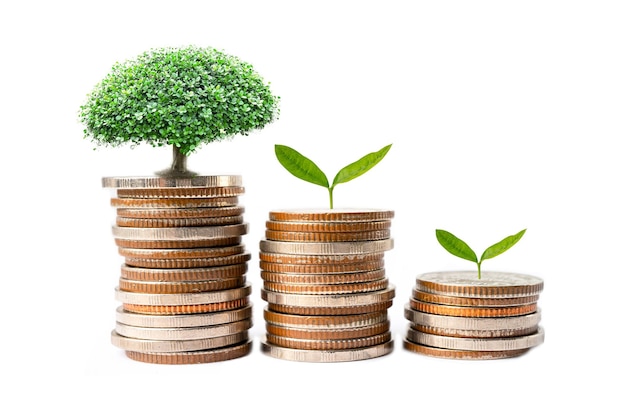 Foglia d'albero su monete risparmiate Finanza aziendale risparmiando il concetto di investimento bancario