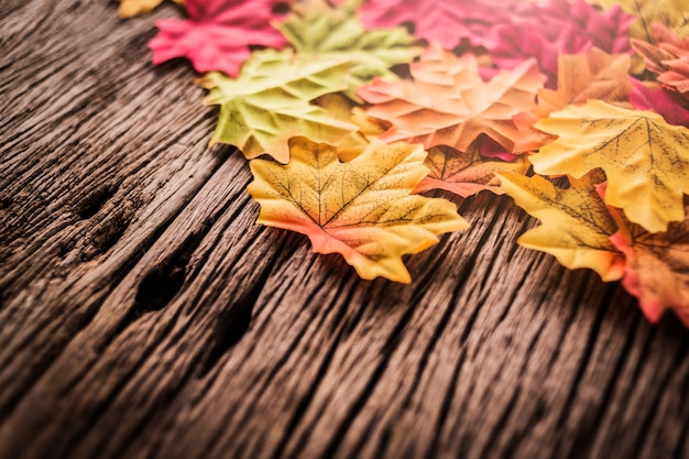 foglia d&#39;autunno sul vecchio pavimento di struttura in legno vintage bianco