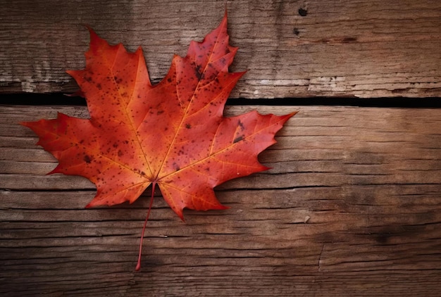 Foglia dell'albero di acero di autunno sulla vista superiore del fondo di legno