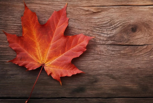 Foglia dell'albero di acero di autunno sulla vista superiore del fondo di legno