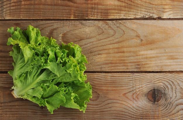 Foglia dell'insalata verde sullo spazio di superficie della copia