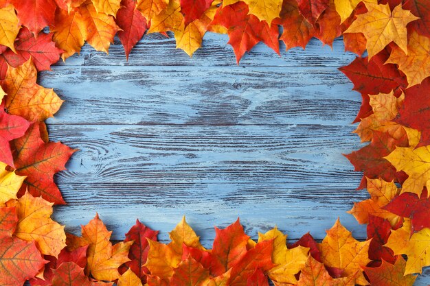 Foglia di acero di autunno sulla tavola di legno blu. Sfondo autunno con spazio di copia